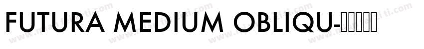 FUTURA MEDIUM OBLIQU字体转换